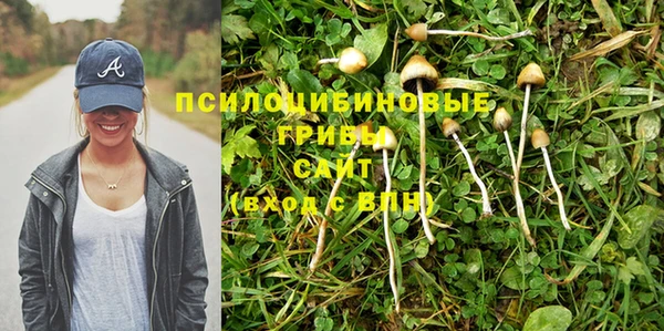 экстази Алексин