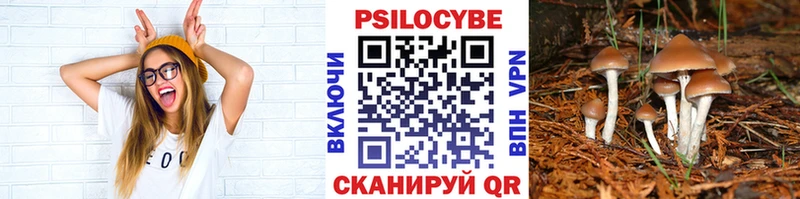 кракен ССЫЛКА  Тамбов  Псилоцибиновые грибы мицелий 